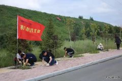 南露天煤矿联合开展“行动践初心 除草助绿化”主题党日活动