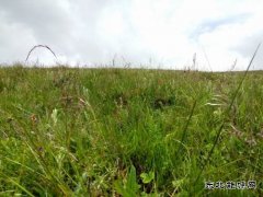 谁知盘中餐  粒粒皆辛苦