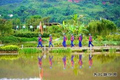  那些年、这些年，李庄的用电事儿……