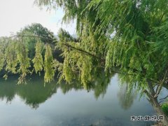 三元钱能买到什么？