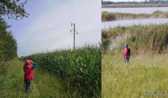 国网黑龙江大庆安达供电公司：艰难巡线路