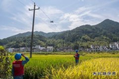 江西婺源：无人机为电力巡线插上“翅膀”