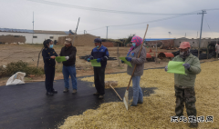 阿勒泰执法支队：Ｖ捶ù蠖涌狗ㄖ谓绱寤疃