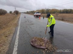 哈巴河执法大队：及时清理路面杂物 确保公路安全畅通