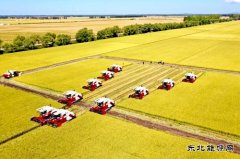 兴凯湖供电分公司：全力而为保秋收供电 确保粮食颗粒归仓