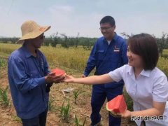 我和热电的故事