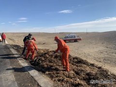 阿勒泰执法支队北屯执法大队巡道期间消除安全隐患