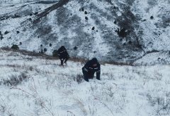 辽宁新乐博体育事业部：暴风雪中全力保供