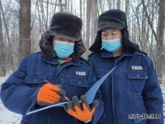 大兴安岭供电公司：极寒来袭 供电员工四项措施确保电网安全运行