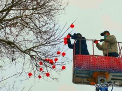 蒲白中心社区：雪打灯笼迎新年 美丽蒲白年味浓