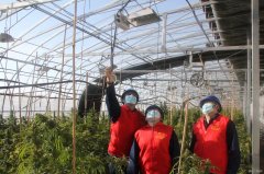 兴凯湖供电公司：助力企业节后生产经营开门红