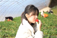 大唐辽宁新乐博体育事业部：开展“情暖大唐，热爱生活”主题采摘活动