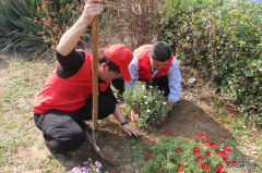 春回大地绿 植树正当时