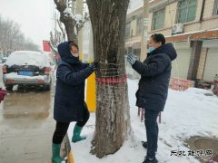 中心社区：用责任和担当“扮靓”矿区容颜