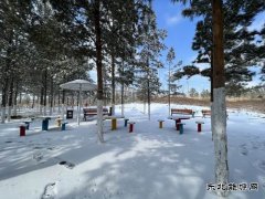 年年有春雪，纷飞落朝夕