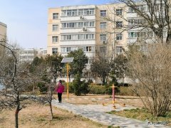 蒲白白水社区：小区这个春天有点儿暖