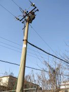 双龙公司机电科顺利完成春季供电线路蹬杆检查工作