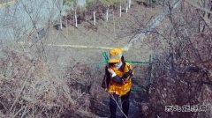 铁路线上绽芳华——记蒲白铁运公司宝麟项目部程亚萍