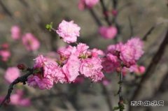 涌鑫矿业公司：最是一年好时光