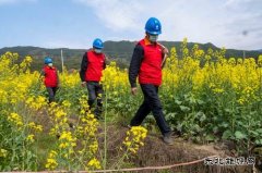 江西婺源：全力“战疫”保春耕生产供电