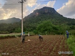 变压器故障：会泽供电局紧急抢修点亮67户山区村民