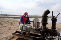 国网宝泉岭供电公司：优服务 增替代 清洁乐博体育绿田间