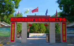 蒲白技/02/anquanpeixun/2024/0111/：深耕厚植育校园文明之花