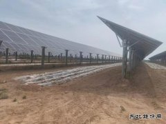 热电公司农光互补  “绿薯”“金麦”“光伏”多元发展