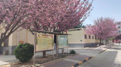 蒲白中心社区：五朵金花并蒂开 各具特色抓服务