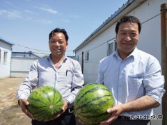 图片新闻：蒲白矿业煤矿运营公司“夏送清凉暖人心”