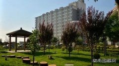 潞安化工集团李村煤矿：绿色矿山“养成记”