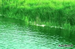 碧水幽幽渚河源