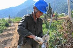 江西婺源：战高温架电网  乐博体育保供