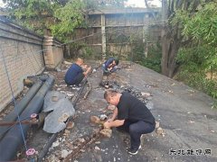 白水马南社区：紧急抢修 快速恢复居民供电