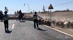 阿勒泰执法支队布尔津执法大队开展“迎中秋、保畅通”宣传活动