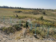 阿勒泰执法支队北屯执法大队开展国庆节前期安全隐患排查工作