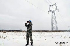 佳木斯电网：以雪为令，对抗风雪保供电