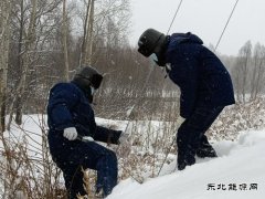 国网松岭供电公司：践行二十大精神 “一切为民”服务葆初心