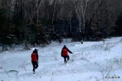 抚远市供电公司：巡线保供电 守护万家灯火