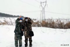 佳木斯供电公司：线路特巡不放松 春节保电在行动