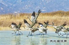 我国新增国际重要湿地18处