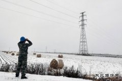 佳木斯供电公司: 应对雨雪倒春寒 多措保供保安全
