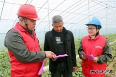 国网太康县供电公司：服务进大棚  电力惠民生