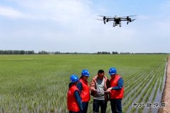 兴凯湖供电公司：“满格电力”赋能600万亩稻田