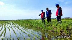 国网黑龙江九三供电公司：助力乡村经济发展