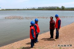 兴凯湖供电公司：贴心服务助力垦区特色养殖业蓬勃发展