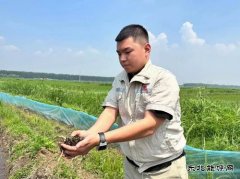 大唐辽宁新乐博体育事业部：乡村要振兴产业必先行