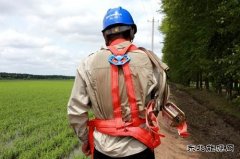 兴凯湖供电公司：防设备“中暑”保电网平安