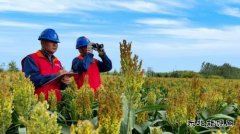 国网九三供电公司：助力乡村旅游业发展