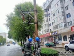 国网牡丹江东宁市供电公司：履职尽责保供电  彰显央企担当